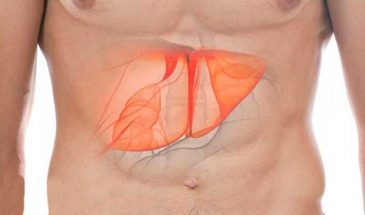 Conheça os sintomas de problemas no fígado