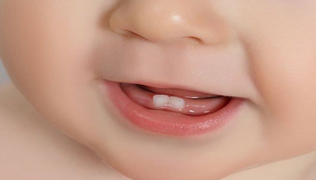 Os primeiros dentes do bebé, quando nascem e que sintomas causam!