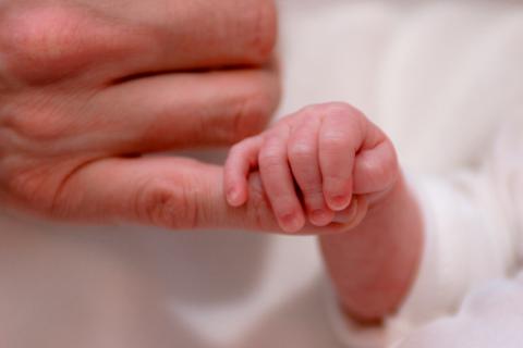 Bebés prematuros e a dificuldade da amamentação