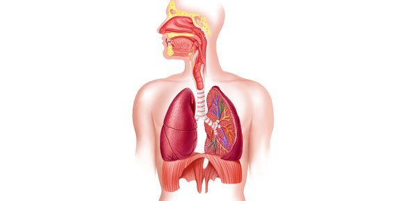 edemas pulmonares