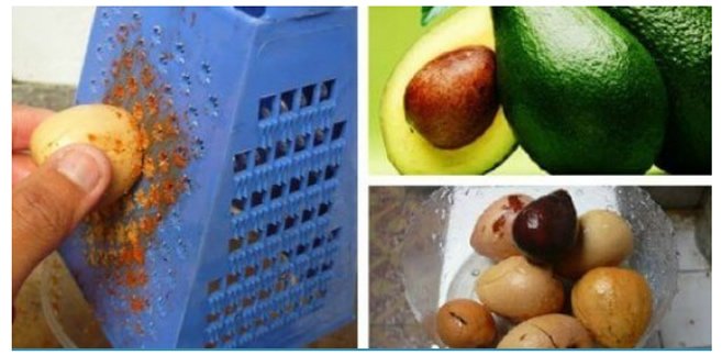 Semente de Abacate, 10 benefícios para a saúde e beleza
